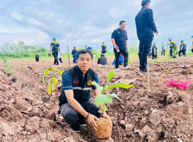 สำนักงานสหกรณ์จังหวัดสุโขทัย ... พารามิเตอร์รูปภาพ 9